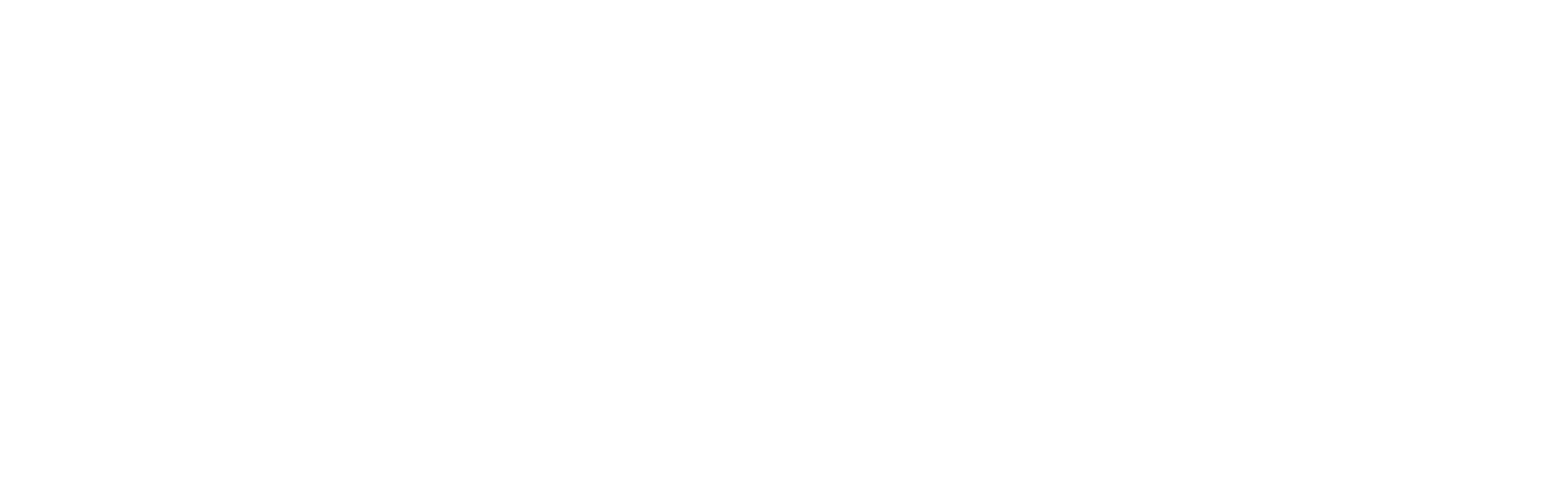 RMN FPV